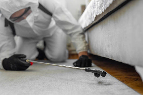 Professional Bed Bug Control technician working in Sewaren, NJ