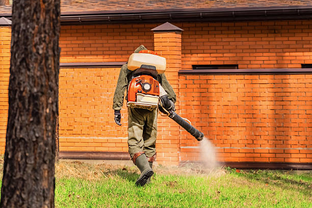 Trusted Ant Control service in Sewaren, NJ - Nex Pest Control